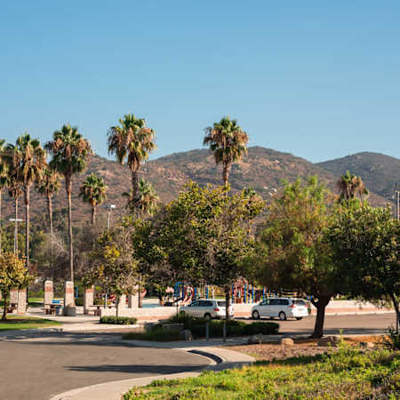 Ridgewood Village Apartments - Neighborhood