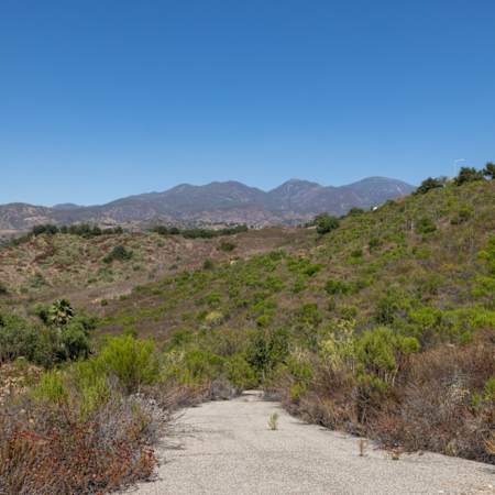 Vista Del Lago Apartments - Neighborhood