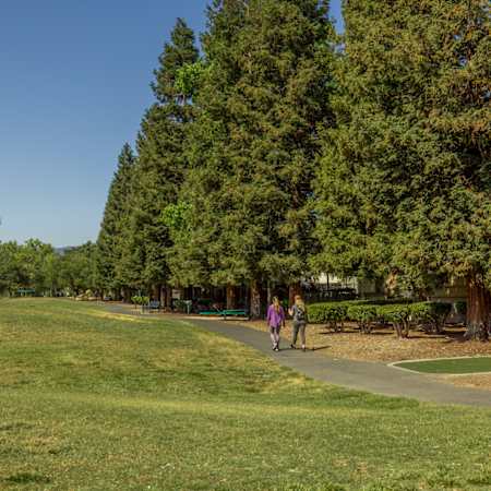 Woodleaf Apartments - Neighborhood