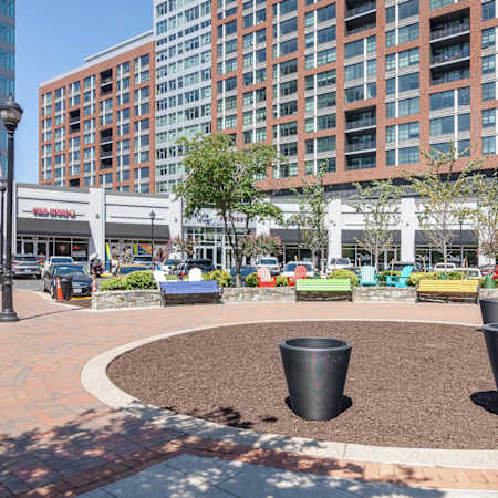 Carlyle Mill Apartments - Neighborhood