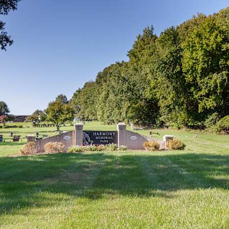 Mosaic at Metro Apartments - Outdoor Activities