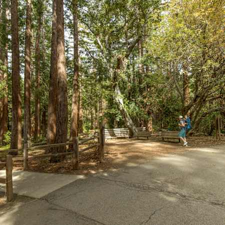 The Reserve at Mountain View Apartments - Neighborhood