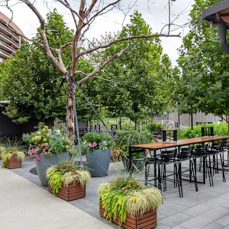 Water Park Towers Apartments - Retail & Dining