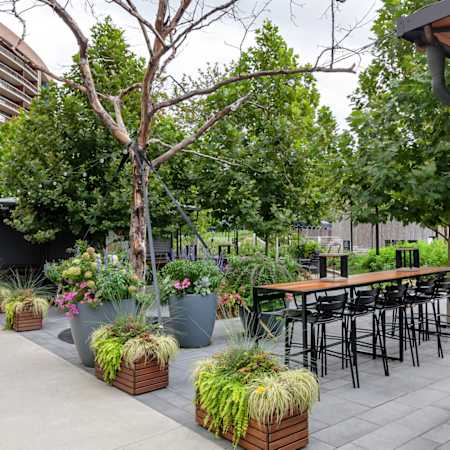 Water Park Towers Apartments - Neighborhood