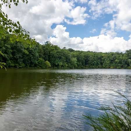 Axis at Shady Grove Apartments - Waterfront Activities