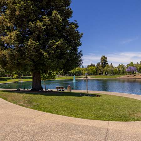 Arbor Terrace Apartments - Neighborhood
