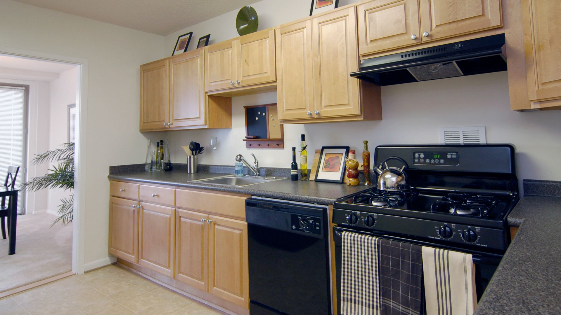 Skyline Towers Apartments in Baileys Crossroads 5599 Seminary Rd