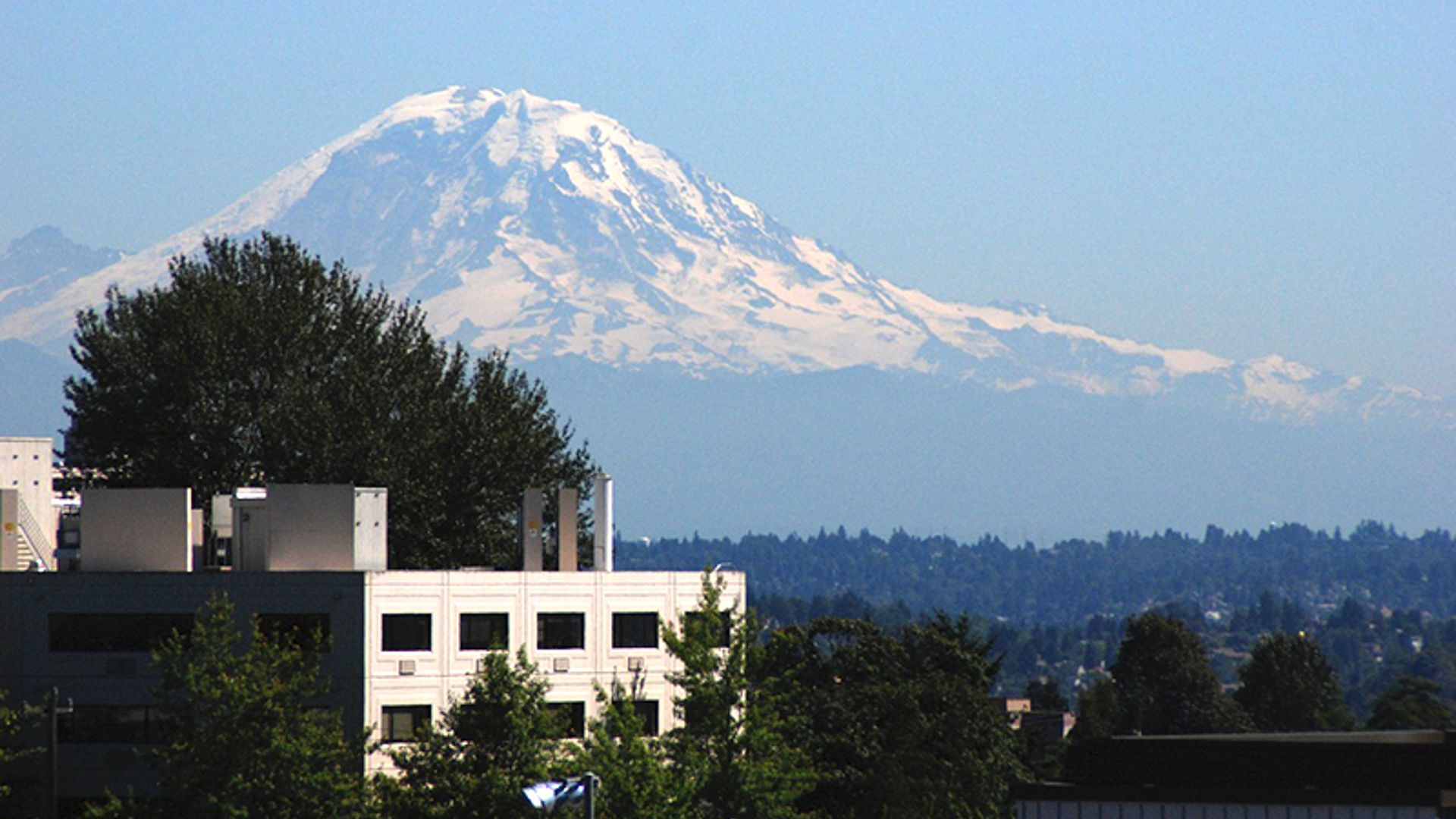 Rianna Apartments In Capitol Hill 810 12th Avenue Alt Rianna Apartments Views