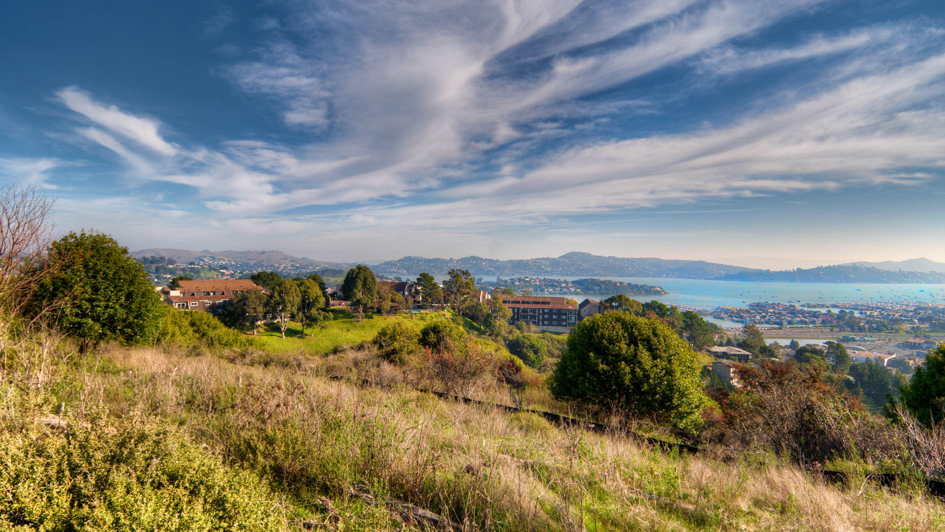 Summit at Sausalito Apartments Sausalito 401 Sherwood Drive