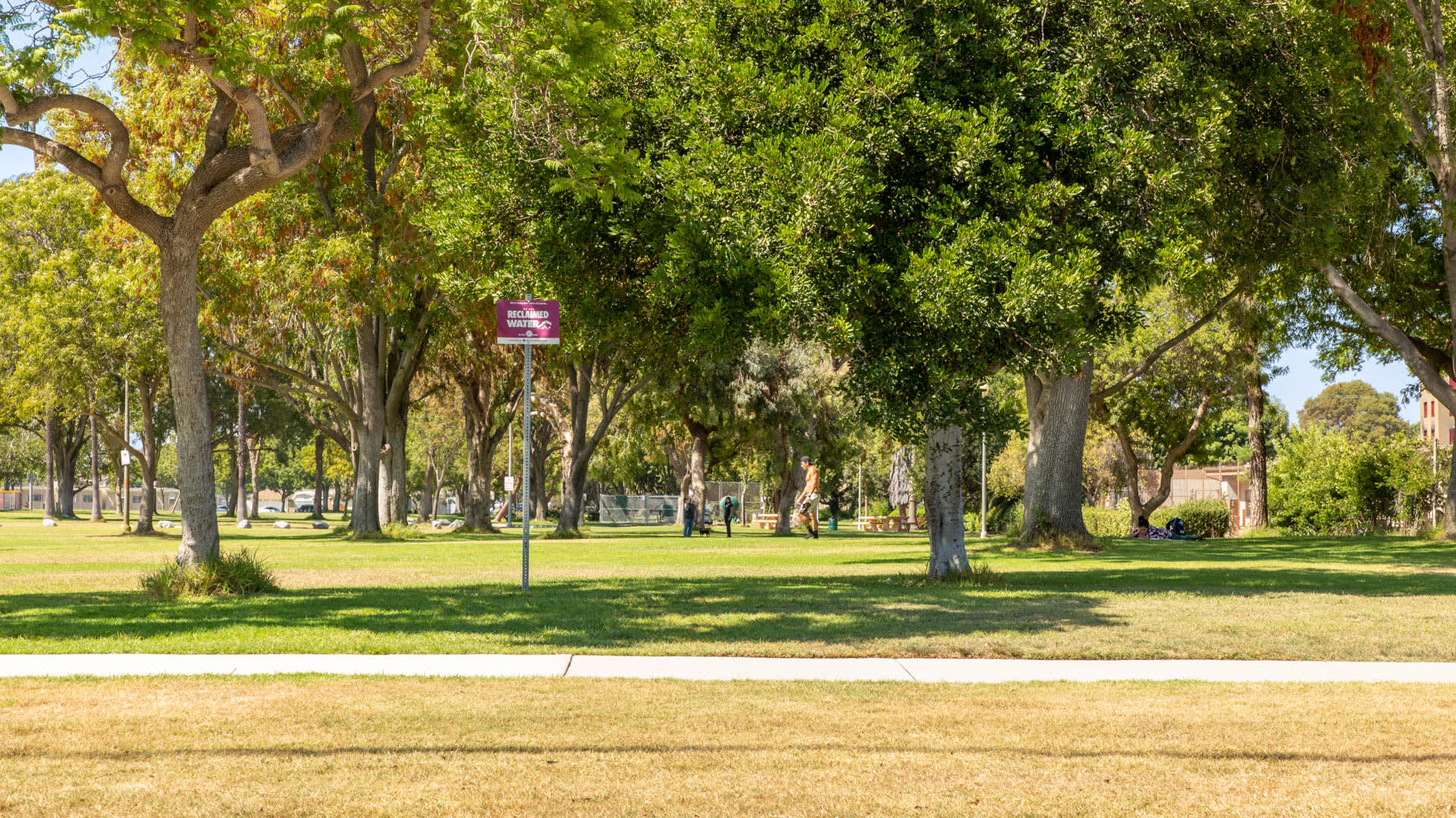 Bay Hill Apartments - Neighborhood 