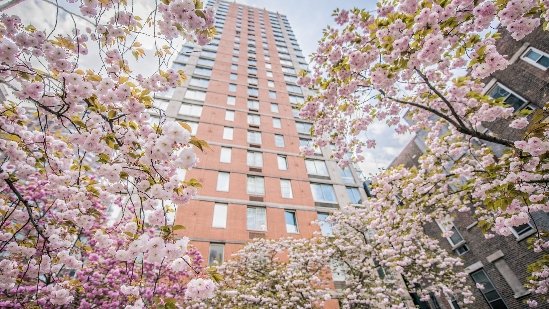 Longacre House Apartments - Exterior