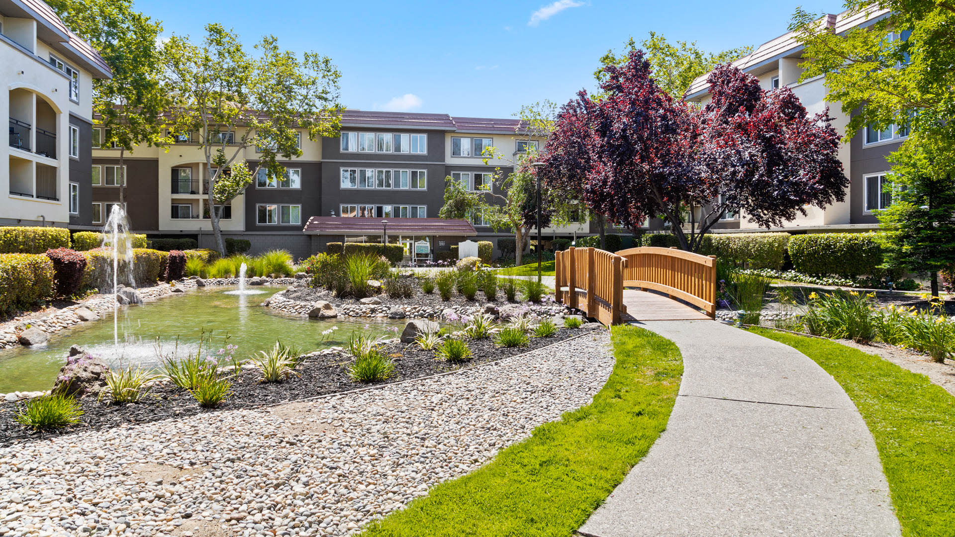 Northpark Apartments - Courtyard