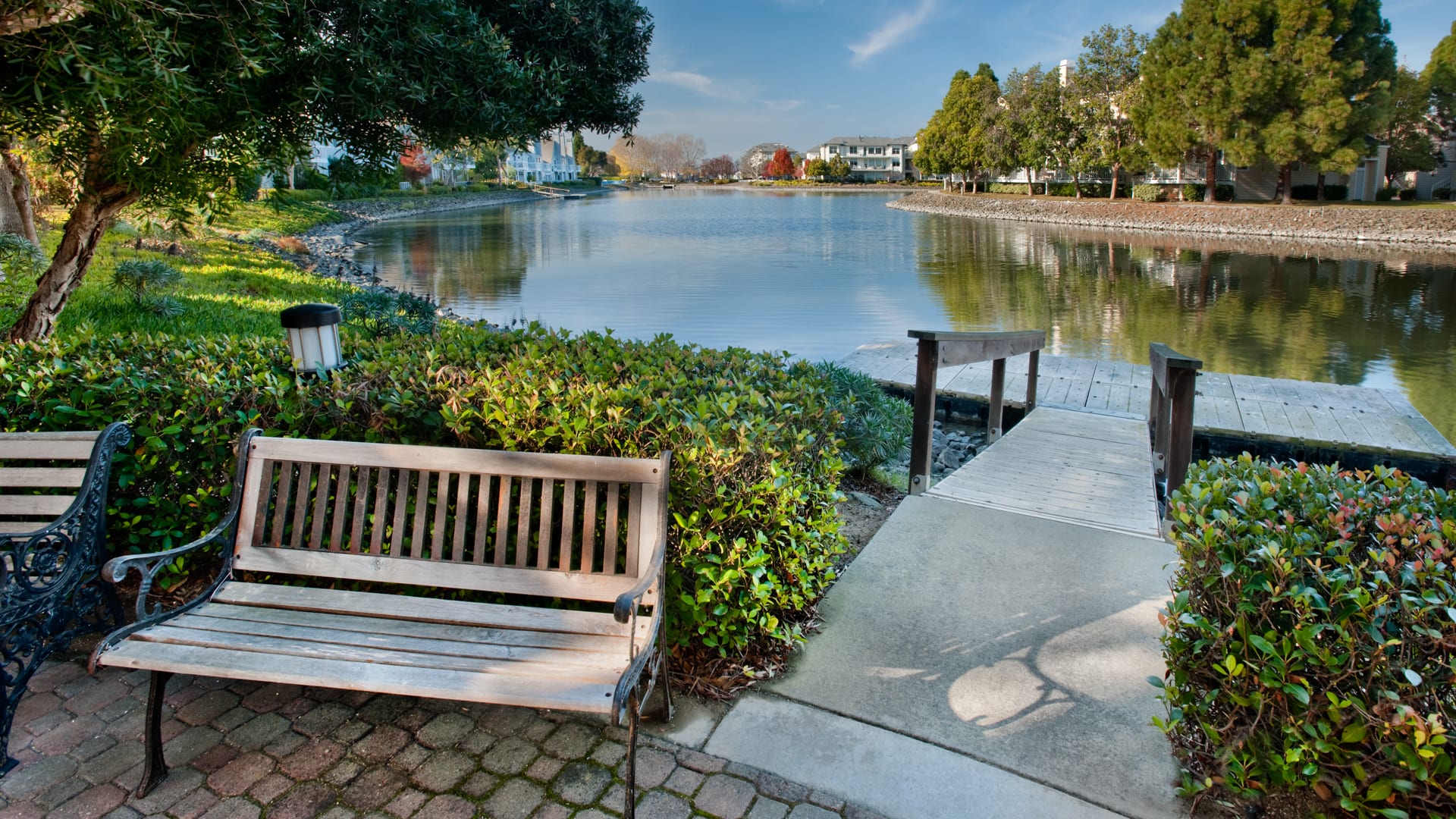 Riva Terra Apartments at Redwood Shores - Pond