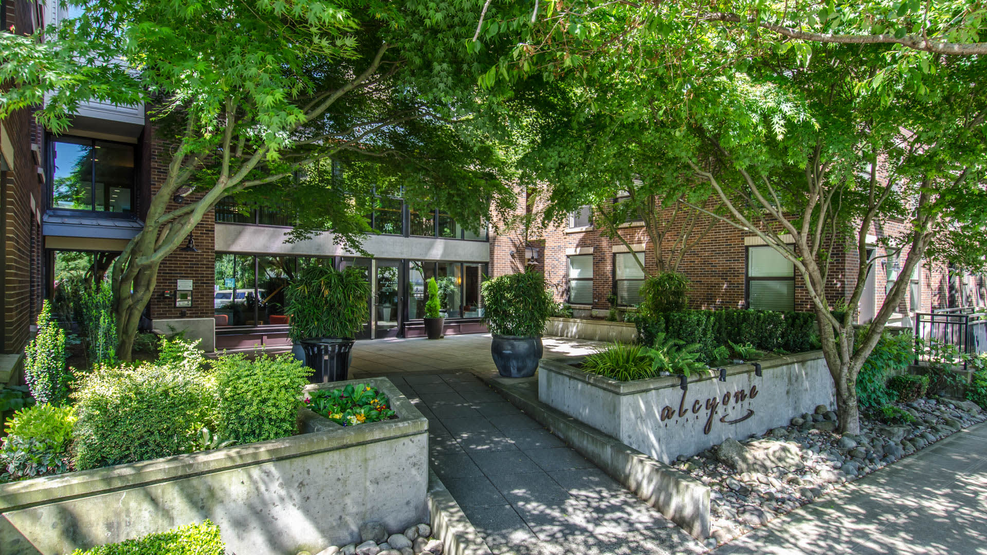 Alcyone Apartments - Exterior