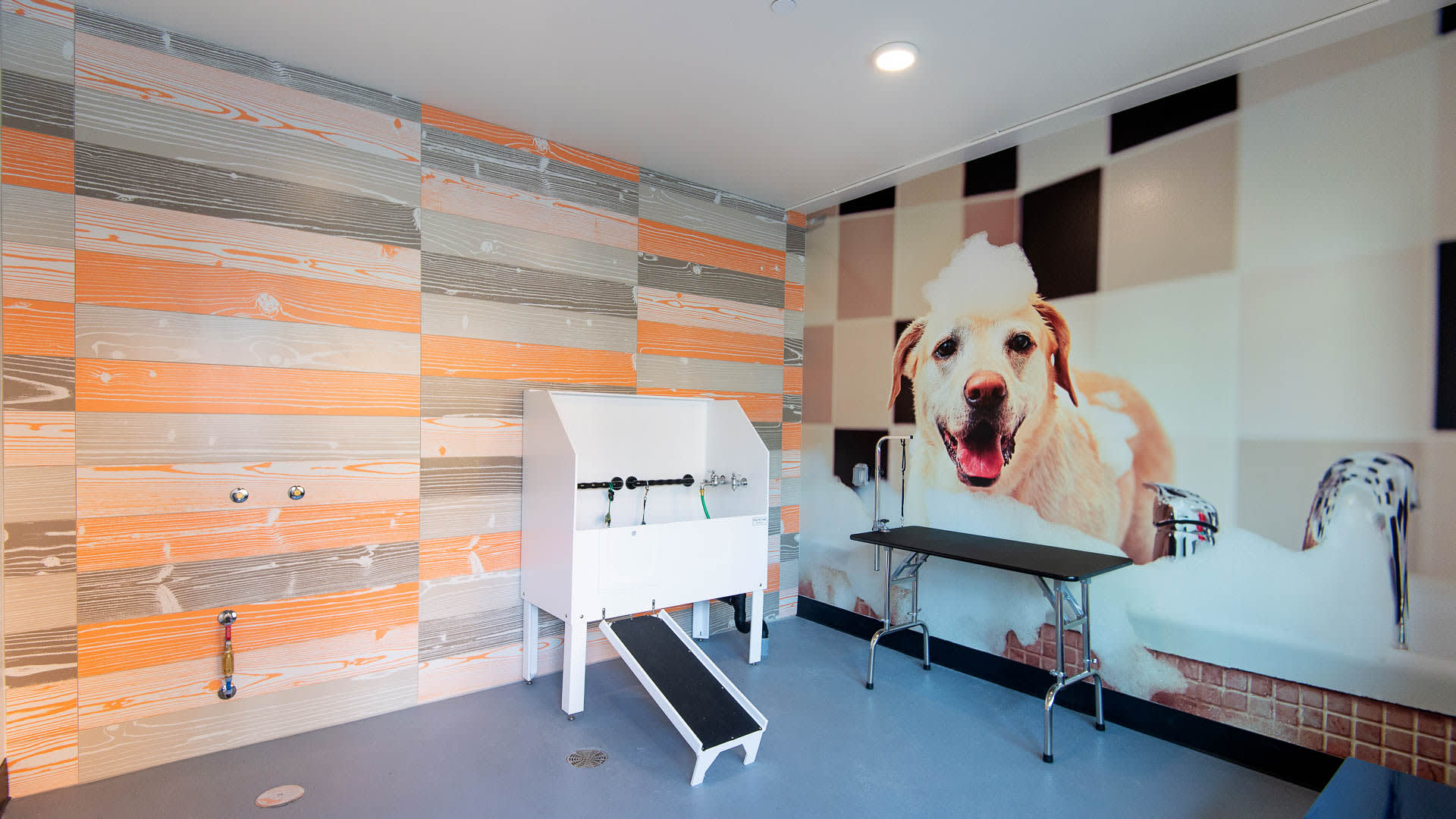 Apartment with best sale dog wash stations