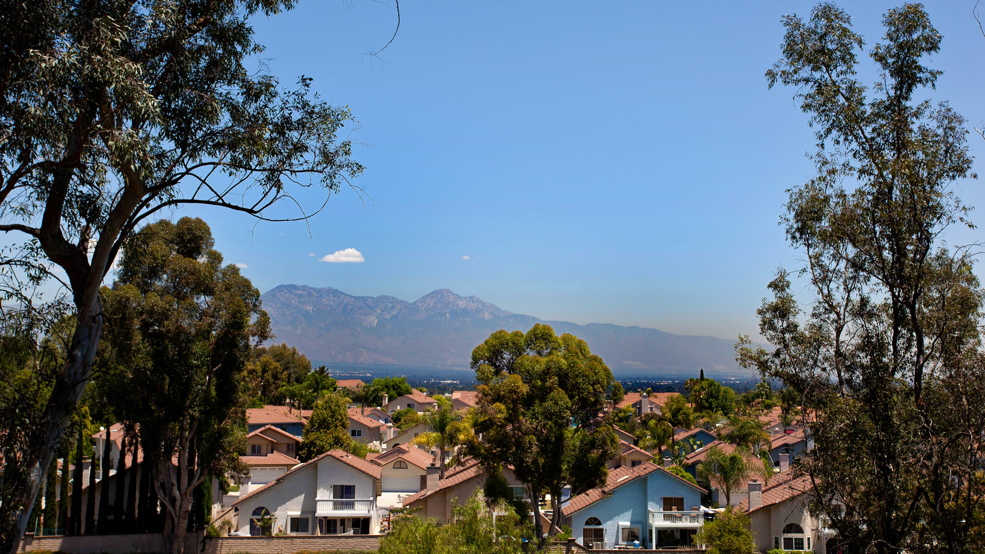 Portofino Apartments - Views