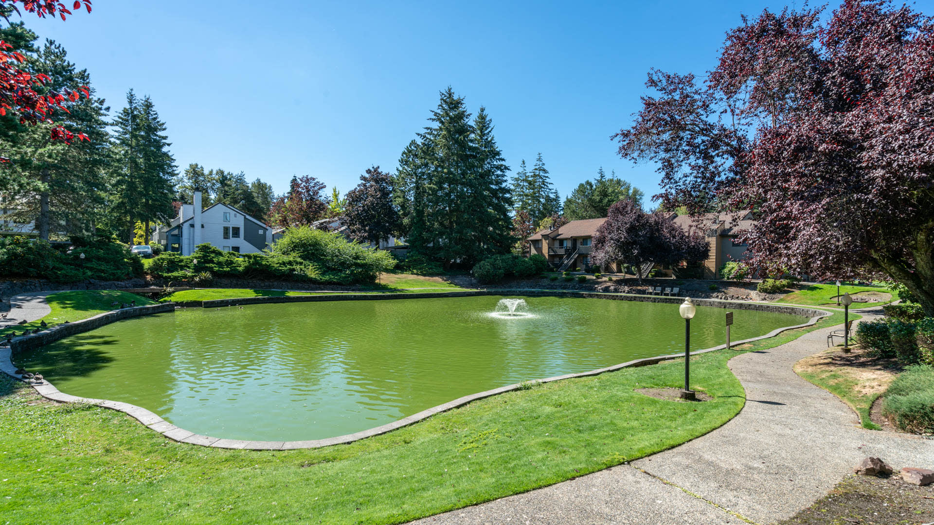 Bellevue Meadows Apartments - Exterior and Grounds