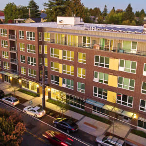 Mosaic Image 15146