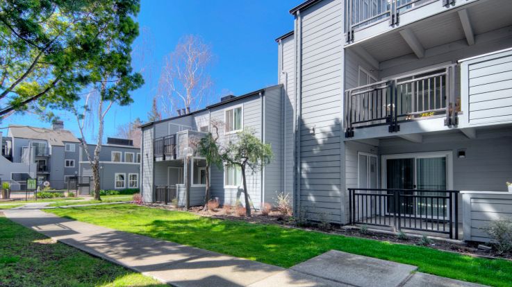 41 Dog And Pet Friendly Apartment Complexes In San Francisco From