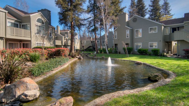 41 Dog And Pet Friendly Apartment Complexes In San