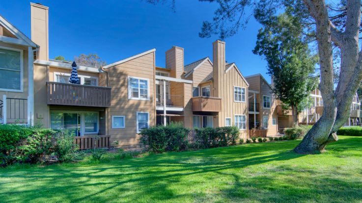 41 Dog And Pet Friendly Apartment Complexes In San Francisco From Equity Residential Equityapartments Com