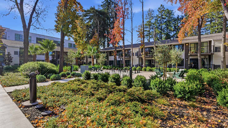 Lorien Ivy Apartments - Courtyard Area