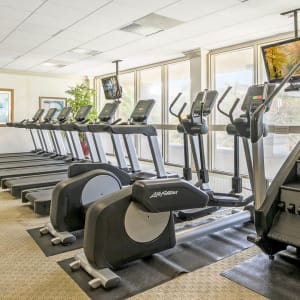 Mosaic Image 18923