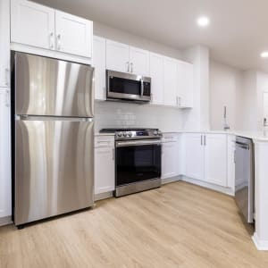 Mosaic Image 51539
