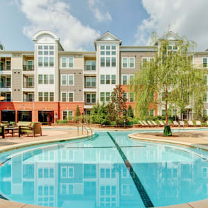 Gaithersburg Station Apartments - Gaithersburg - 370 East Diamond Avenue Equityapartmentscom