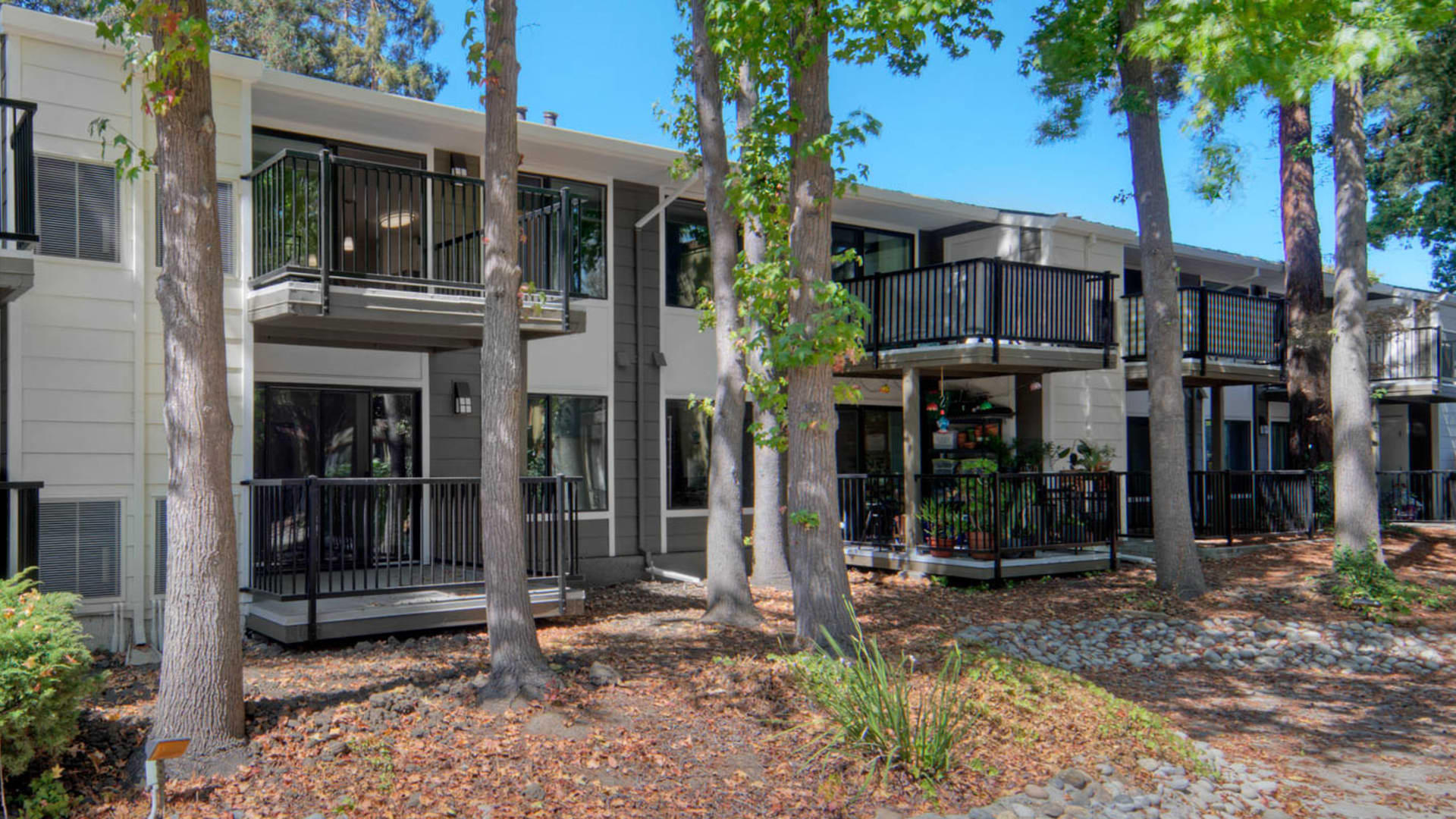 Laguna Clara Apartments Santa Clara 3131 Homestead Road