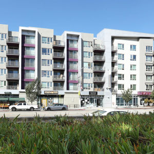 Sakura Crossing Apartments - 