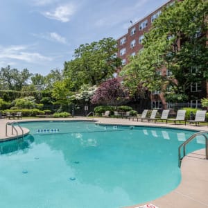 Mosaic Image 11457