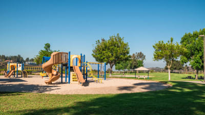 Ridgewood Village Apartments - Neighborhood