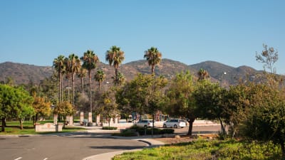 Ridgewood Village Apartments - Neighborhood