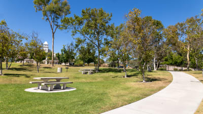 Skyview Apartments - Neighborhood