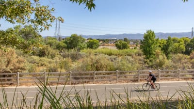 Skycrest Apartments - Neighborhood 