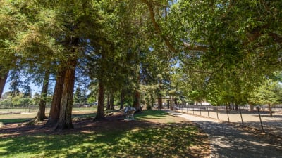 Southwood Apartments - Neighborhood