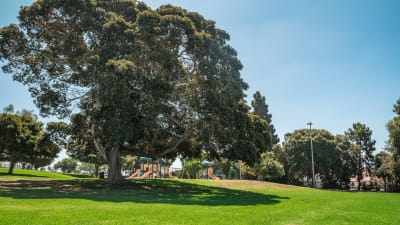 Canyon Ridge Apartments -Park