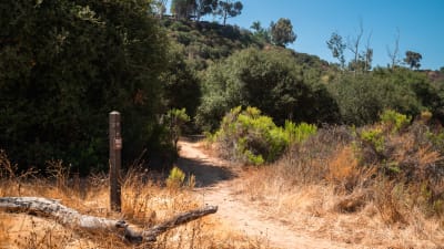 Canyon Ridge Apartments - Hiking