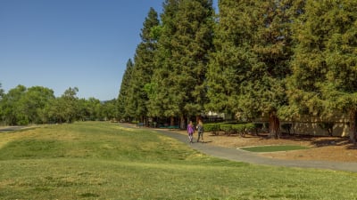 Woodleaf Apartments - Neighborhood