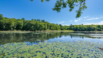 Liberty Park Apartments - Pond Meadow Park