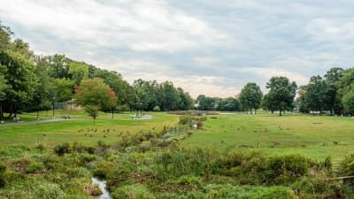 The Highlands at South Plainfield Apartments - Neighborhood