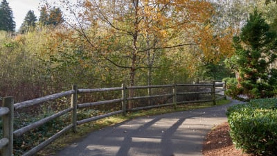 The Reserve at Town Center Apartments - Neighborhood