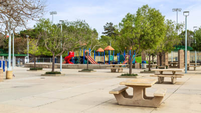 Del Mar Ridge Apartments - Neighborhood