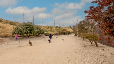 Northpark Apartment Homes Neighborhood