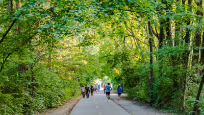 Edgemont at Bethesda Metro Apartments - Neighborhood