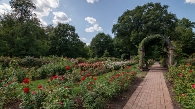 2201 Pershing Apartments - Gardens