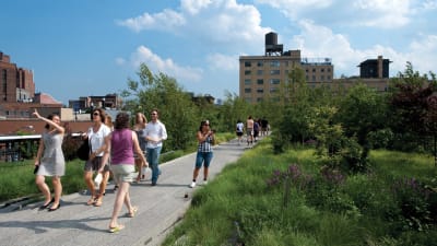 Beatrice Apartments - Neighborhood