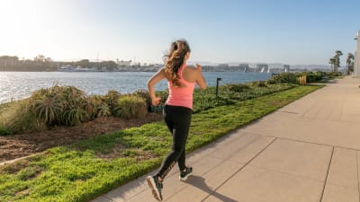 Breakwater at Marina del Rey Apartments - Neighborhood 