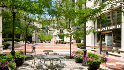 Courthouse Plaza Apartments - Neighborhood